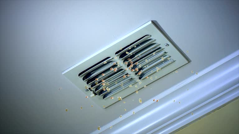 Home Air Vent Cleaning in Salmon Creek, WA