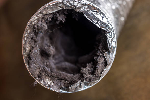 Best Home Air Vent Cleaning  in Salmon Creek, WA