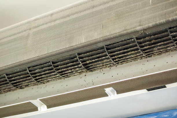 Best Air Duct Cleaning Near Me  in Salmon Creek, WA